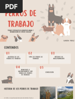 Perros de Trabajo: Laura Piriz