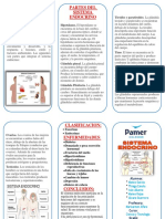 Triptico Sistema Endocrino