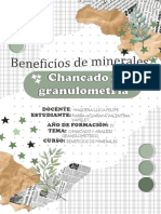 Informe de Chancado Vypa