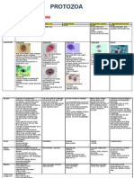 Protozoa Revision