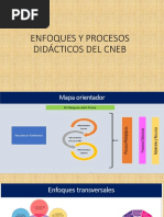 Enfoques y Procesos Didácticos