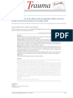 Efecto Neuroprotector de Las Celulas Madre en Traumatismo Medular...