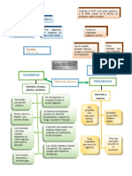 Diagrama Correlativo Celula