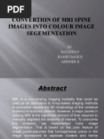 Convertion of Mri Spine Images Into Colour Image Segementation