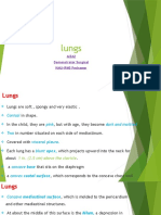 Anatomy Lec 13 (Lungs)