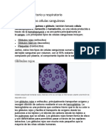 Sistema Circulatorio