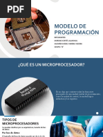 Modelo de Programacion