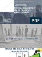 CICLO DE VIDA DE LAS ORGANIOZACIONES FINAL (2) - Comprimido