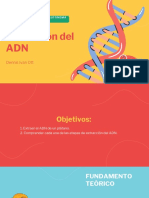 Extraccion Del ADN