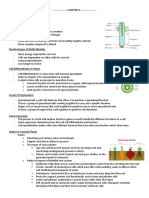 Semester One Exam Notes Official