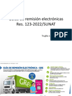 Guias de Remision Electronicas