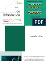 Técnicas de Hibridación