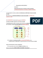 2º Parcial Biologia