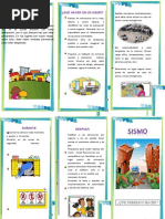 Triptico de Sismo