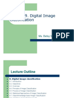 Digital Image Classification