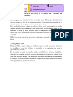 Evidencia Del Analisis de Contexto Interno y Externo de Calidad de La Empresa