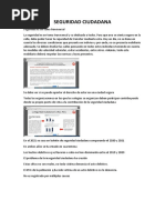 Seguridad Ciudadana