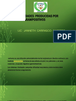 Enfermedades Producidas Por Bacilos Grampositivos