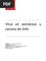 Virus en Pomaceas y Carozos de Chile