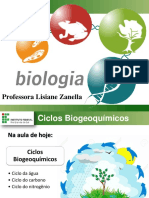 Ecologia Ciclos-Biogeoquimicos