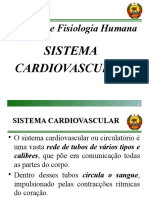 Sistema Cardiovascular