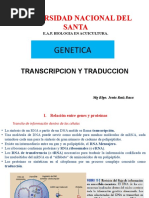 Expresion Genica, Transcripcion y Traduccion