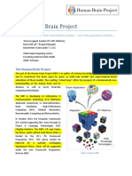 Human Brain Project