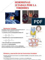 Tiroides Presentacion