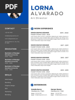 Professional CV Resume