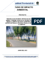 Informe de Impacto Ambiental - Av - RP Ok