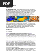 Documento Pesés de Mar