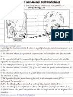 Plant Cell and Animal Cell Worksheet