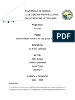 2do-Informe Porcinos