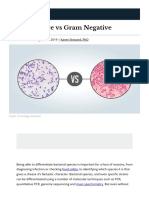 Gram Positive Vs Gram Negative