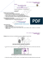 FLAGELATE 1-CURS 2 Si LP 2 - 21.10.2021