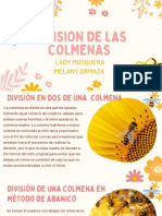 División de La Colmena