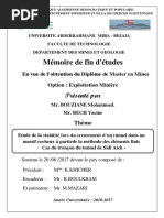 Mémoire de Fin D'études