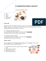 The Levels of Organization in Animal Complexity