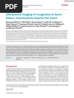 Ultrasound Imaging of Congestion in Heart Failure Examinations Beyond