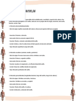 Anatomia Tarea de Musculos