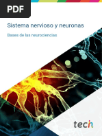 Neurociencias M1T1