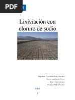 Informe Lixiviacion