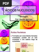 Acidos Nucleicos