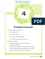 S5 B3 - Sistema Muscular