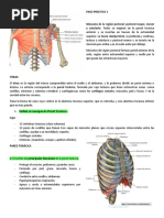 Paso Práctico 1