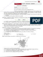 Sistema Vascular