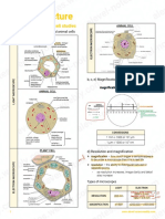 1 Cell Structure