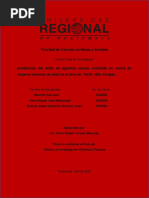 Informe Incidencias Del Delito de Agresión Sexual Revizada 100523