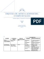 Esquema de Articulaciones Del Cuerpo Humano