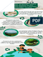 Infografía Cuidado Del Medio Ambiente Moderno Verde